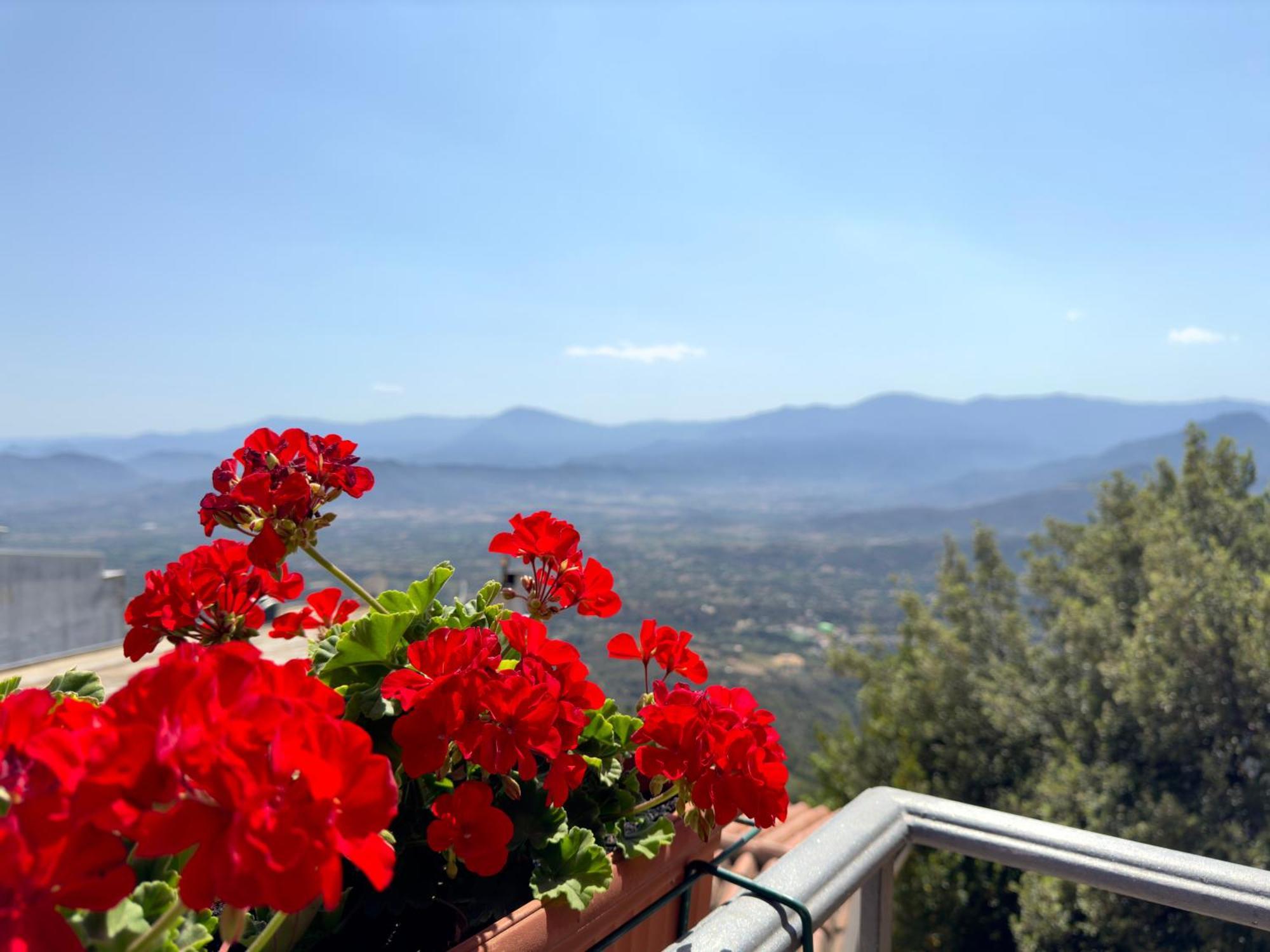 B&B Selvaggio Blu Baunei Kültér fotó